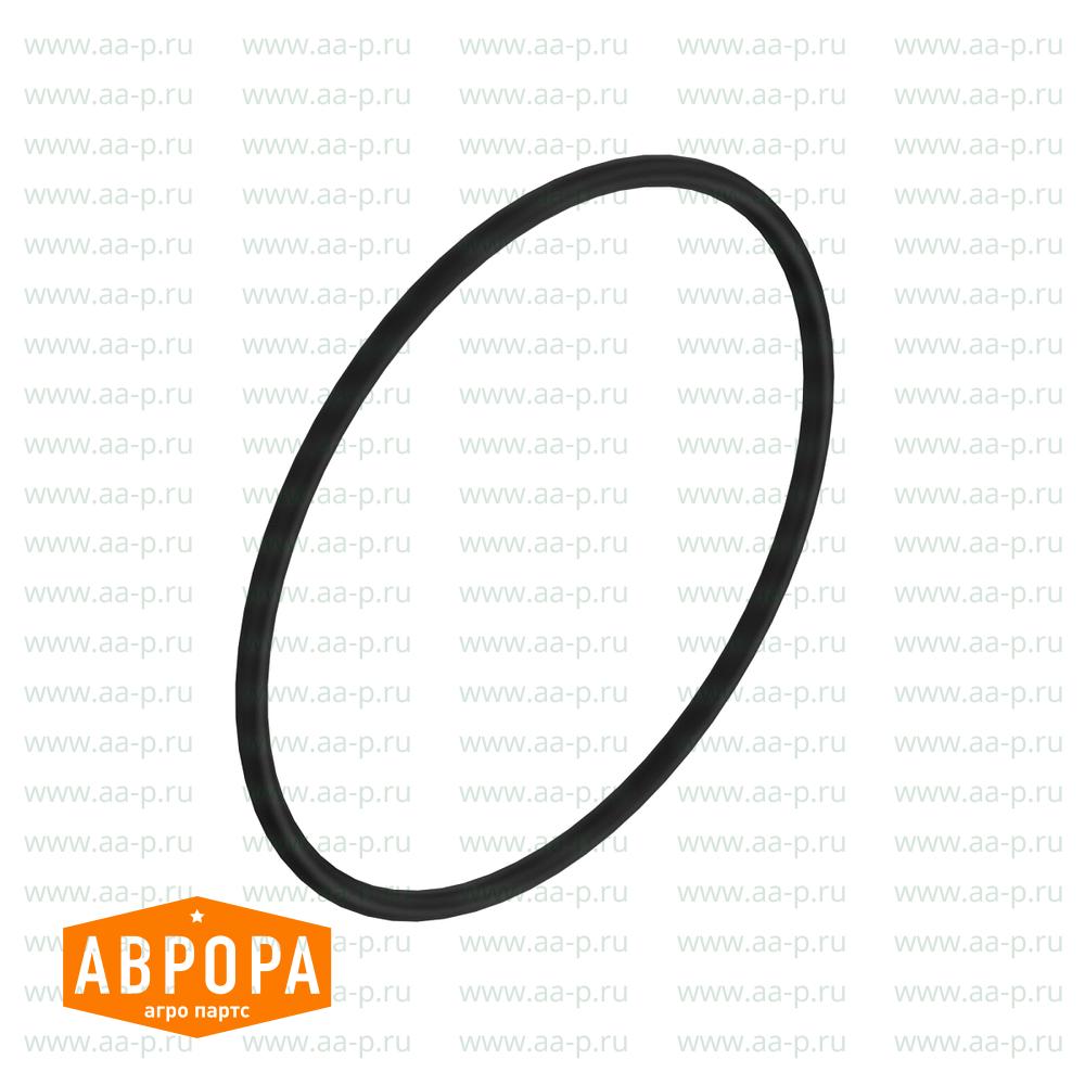 F061067 УПЛОТНИТЕЛЬНОЕ  КОЛЬЦО